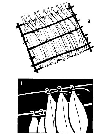 Иллюстрация к книге — Выживание везде и всегда [i_259.jpg]