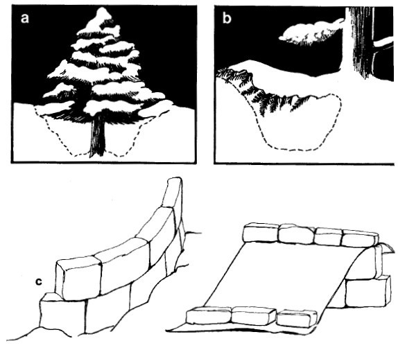 Иллюстрация к книге — Выживание везде и всегда [i_262.jpg]