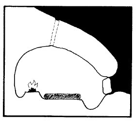 Иллюстрация к книге — Выживание везде и всегда [i_264.jpg]