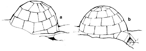 Иллюстрация к книге — Выживание везде и всегда [i_265.jpg]