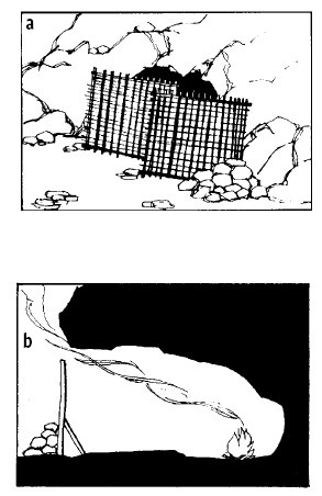 Иллюстрация к книге — Выживание везде и всегда [i_270.jpg]