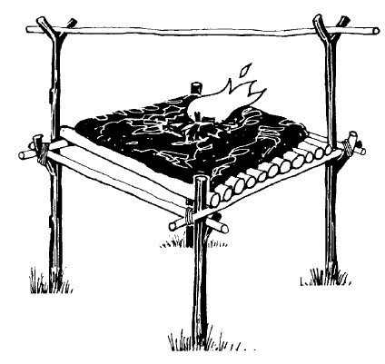 Иллюстрация к книге — Выживание везде и всегда [i_276.jpg]