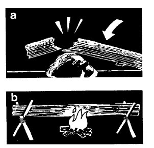 Иллюстрация к книге — Выживание везде и всегда [i_281.jpg]