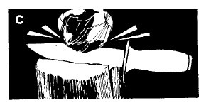 Иллюстрация к книге — Выживание везде и всегда [i_282.jpg]