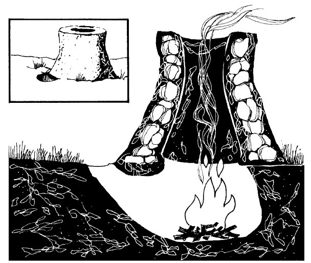 Иллюстрация к книге — Выживание везде и всегда [i_299.jpg]