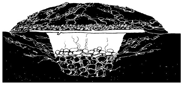 Иллюстрация к книге — Выживание везде и всегда [i_309.jpg]