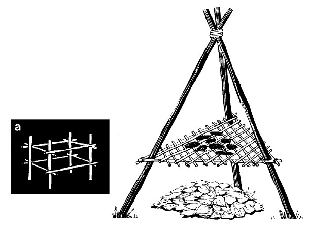 Иллюстрация к книге — Выживание везде и всегда [i_313.jpg]