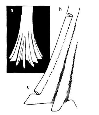 Иллюстрация к книге — Выживание везде и всегда [i_319.jpg]