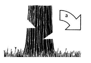 Иллюстрация к книге — Выживание везде и всегда [i_322.jpg]