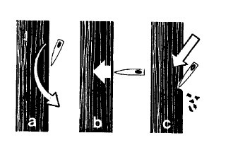 Иллюстрация к книге — Выживание везде и всегда [i_323.jpg]