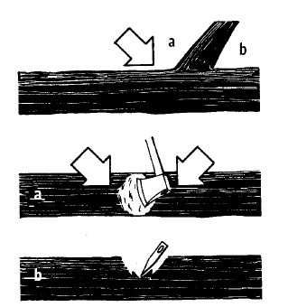 Иллюстрация к книге — Выживание везде и всегда [i_324.jpg]