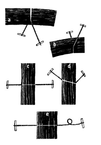 Иллюстрация к книге — Выживание везде и всегда [i_327.jpg]