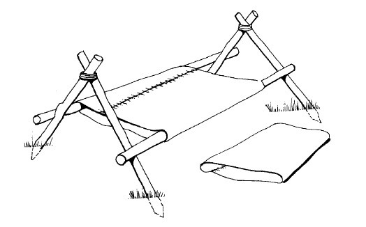 Иллюстрация к книге — Выживание везде и всегда [i_329.jpg]