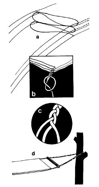 Иллюстрация к книге — Выживание везде и всегда [i_332.jpg]