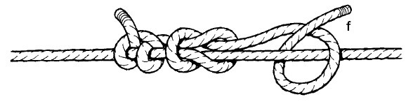 Иллюстрация к книге — Выживание везде и всегда [i_350.jpg]