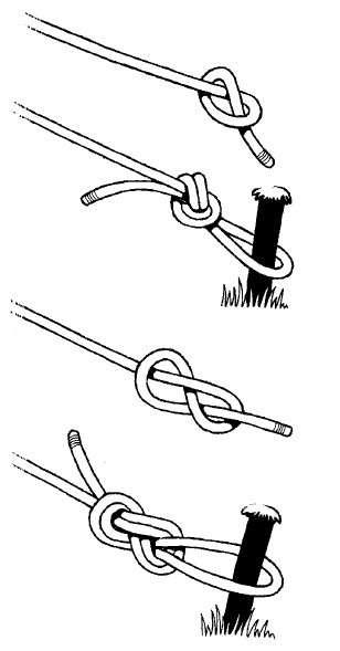 Иллюстрация к книге — Выживание везде и всегда [i_351.jpg]