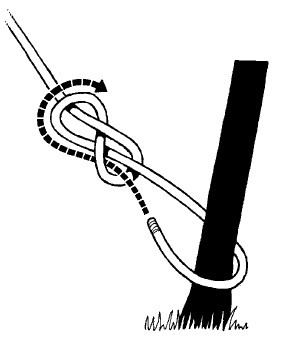 Иллюстрация к книге — Выживание везде и всегда [i_352.jpg]