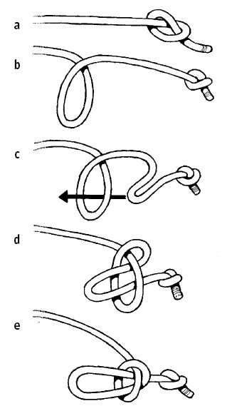 Иллюстрация к книге — Выживание везде и всегда [i_365.jpg]