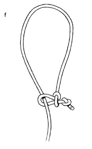 Иллюстрация к книге — Выживание везде и всегда [i_366.jpg]