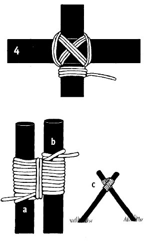 Иллюстрация к книге — Выживание везде и всегда [i_381.jpg]