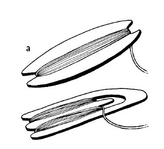 Иллюстрация к книге — Выживание везде и всегда [i_384.jpg]