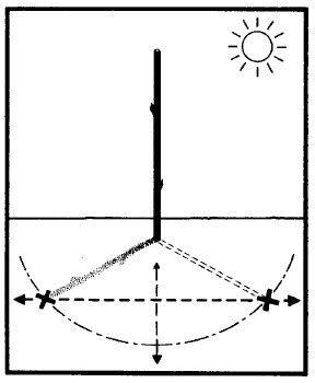 Иллюстрация к книге — Выживание везде и всегда [i_395.jpg]