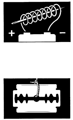 Иллюстрация к книге — Выживание везде и всегда [i_399.jpg]