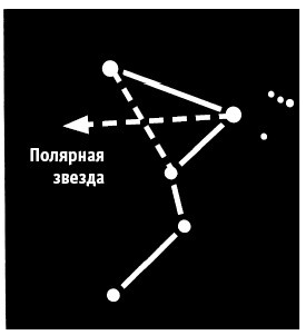 Иллюстрация к книге — Выживание везде и всегда [i_403.jpg]
