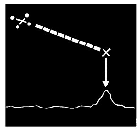 Иллюстрация к книге — Выживание везде и всегда [i_407.jpg]