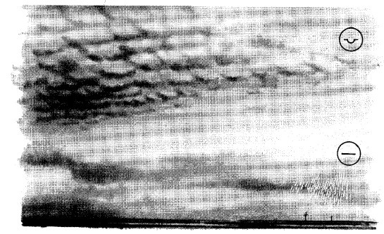 Иллюстрация к книге — Выживание везде и всегда [i_415.jpg]