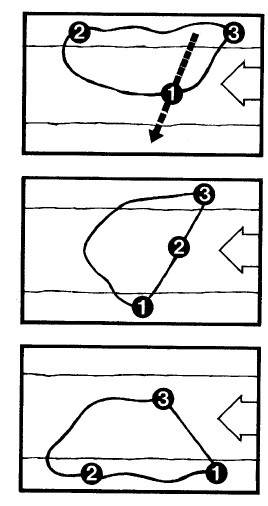Иллюстрация к книге — Выживание везде и всегда [i_432.jpg]