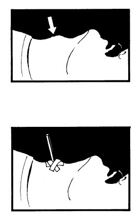 Иллюстрация к книге — Выживание везде и всегда [i_438.jpg]