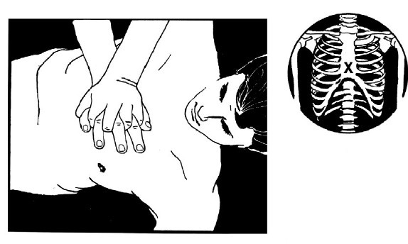 Иллюстрация к книге — Выживание везде и всегда [i_441.jpg]