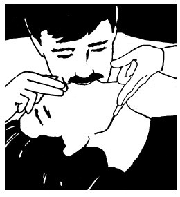 Иллюстрация к книге — Выживание везде и всегда [i_442.jpg]