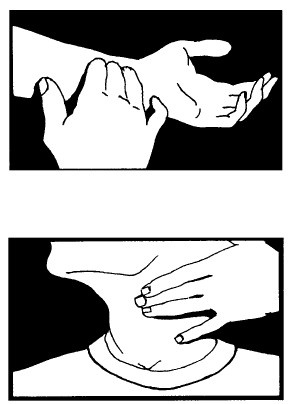 Иллюстрация к книге — Выживание везде и всегда [i_443.jpg]