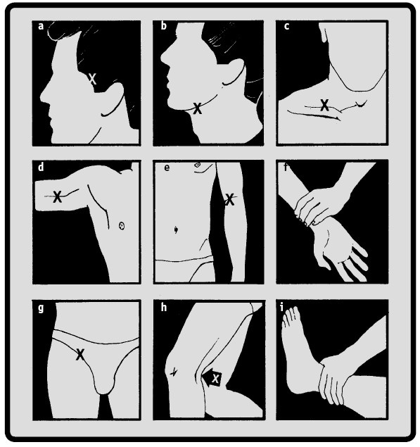 Иллюстрация к книге — Выживание везде и всегда [i_444.jpg]