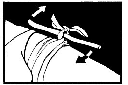 Иллюстрация к книге — Выживание везде и всегда [i_445.jpg]