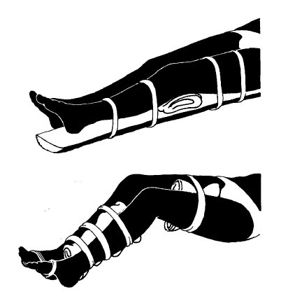 Иллюстрация к книге — Выживание везде и всегда [i_452.jpg]