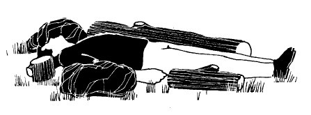 Иллюстрация к книге — Выживание везде и всегда [i_456.jpg]