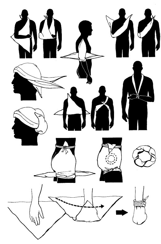 Иллюстрация к книге — Выживание везде и всегда [i_458.jpg]