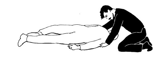 Иллюстрация к книге — Выживание везде и всегда [i_460.jpg]