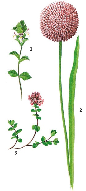 Иллюстрация к книге — Выживание везде и всегда [i_471.jpg]