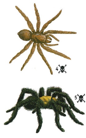 Иллюстрация к книге — Выживание везде и всегда [i_484.jpg]