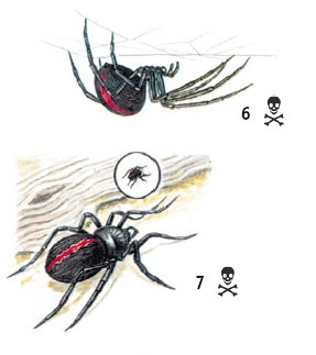 Иллюстрация к книге — Выживание везде и всегда [i_485.jpg]