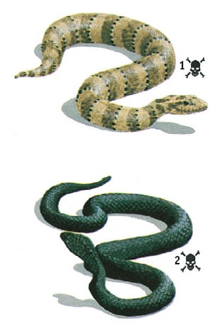 Иллюстрация к книге — Выживание везде и всегда [i_495.jpg]