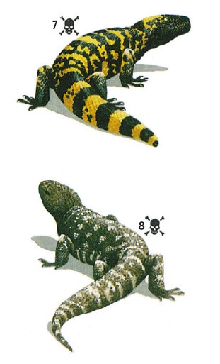 Иллюстрация к книге — Выживание везде и всегда [i_498.jpg]