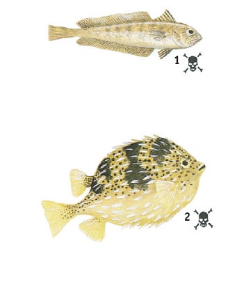 Иллюстрация к книге — Выживание везде и всегда [i_503.jpg]