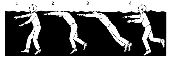 Иллюстрация к книге — Выживание везде и всегда [i_510.jpg]