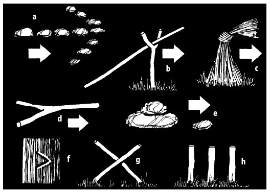 Иллюстрация к книге — Выживание везде и всегда [i_525.jpg]