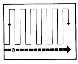 Иллюстрация к книге — Выживание везде и всегда [i_526.jpg]